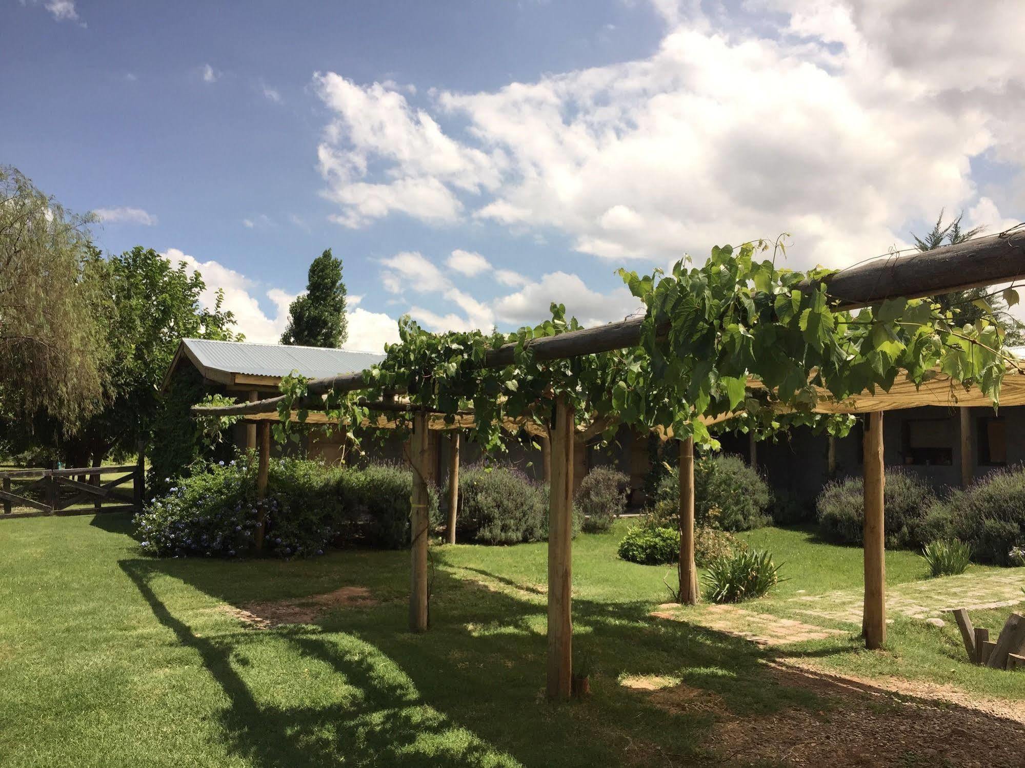 Tikaykilla Lodge & Wines Maipú Exterior foto
